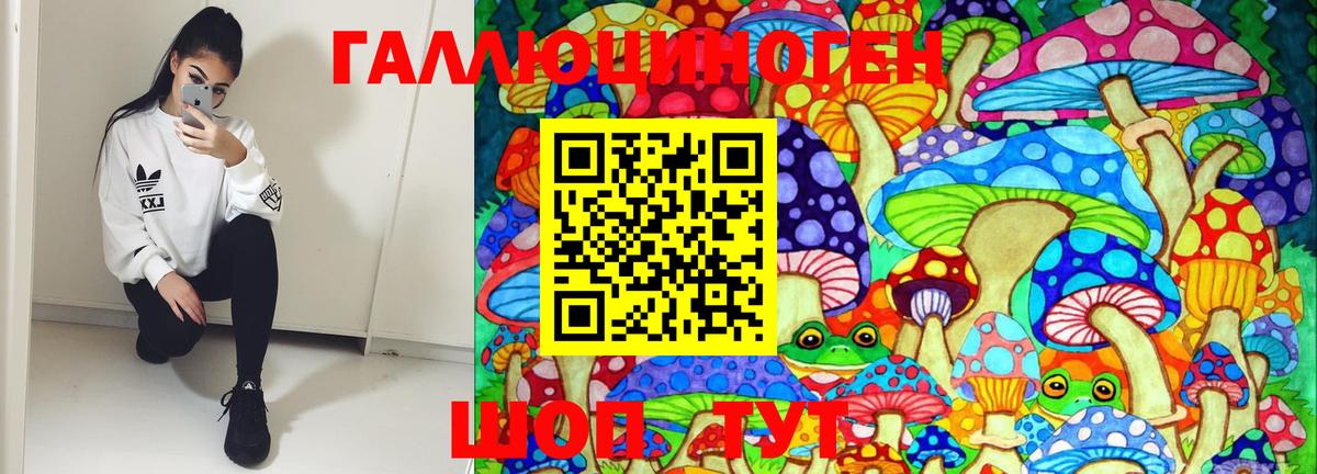 хочу наркоту  Белорецк  Галлюциногенные грибы мухоморы 